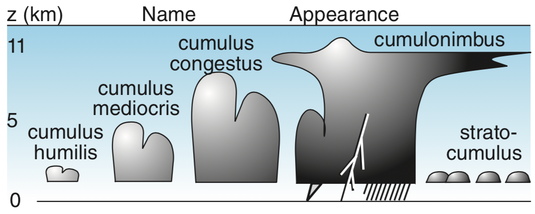 Types of cumuliform clouds, or convective clouds. Small: cumulus humilis, also called "fair weather cumulus"; Medium: cumulus mediocris; Large: cumulus congestus, also known as towering cumulus; Extra large: cumulonimbus, also called thunderstorms (University of British Columbia/Roland Stull)