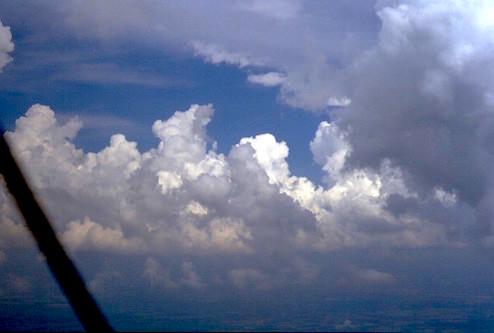 Cumulus mediocris. Copyright by Roland Stull.