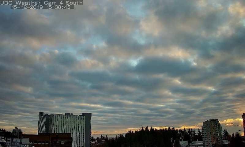 stratocumulus