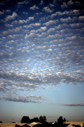 Altocumulus clouds