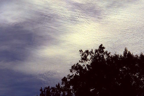 Cirrocumulus clouds