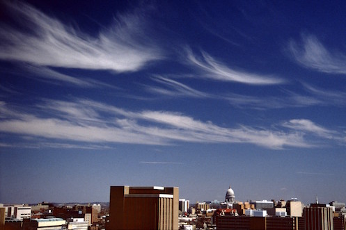 Cirrus clouds