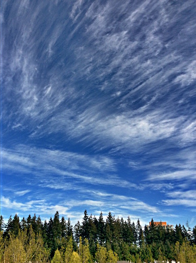 Cirrus clouds