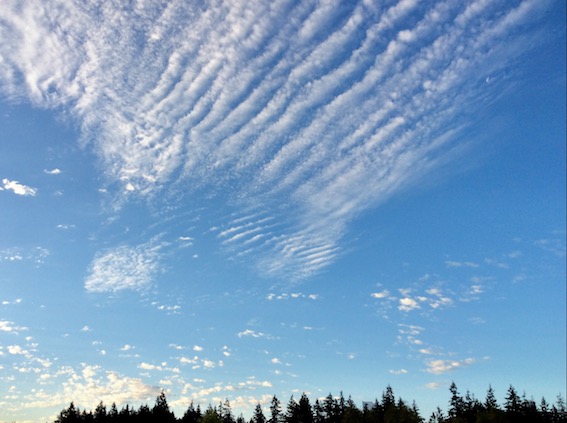 billow clouds