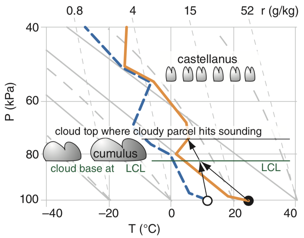 sounding with castellanus