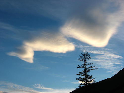 looking up at lenticular