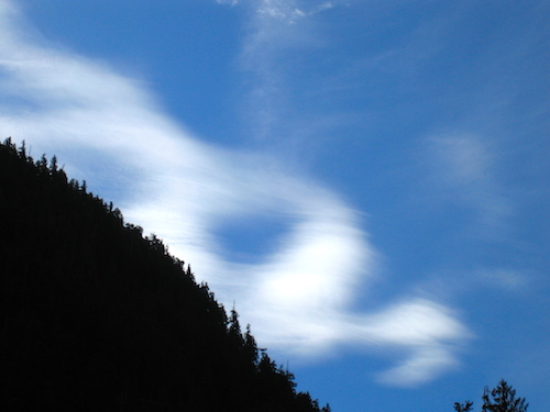 looking up at lenticular