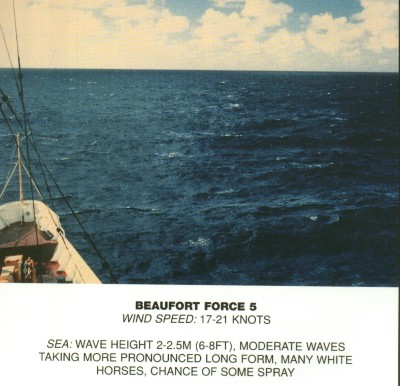 Beaufort 5