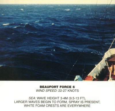 Beaufort 6