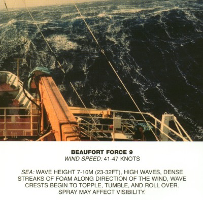 Beaufort 9