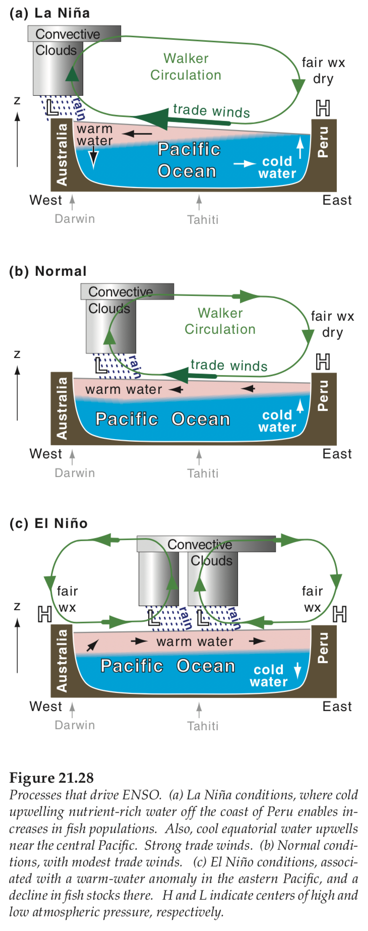 The Walker Cell And Enso The Walker Cell And Enso