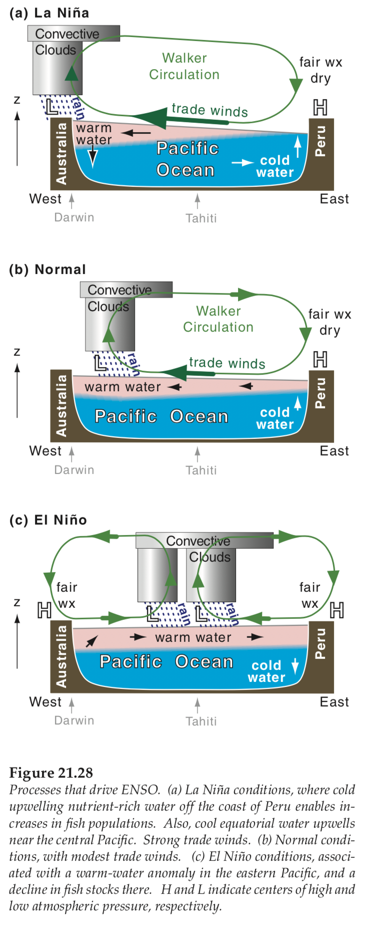 enso vertical cross section