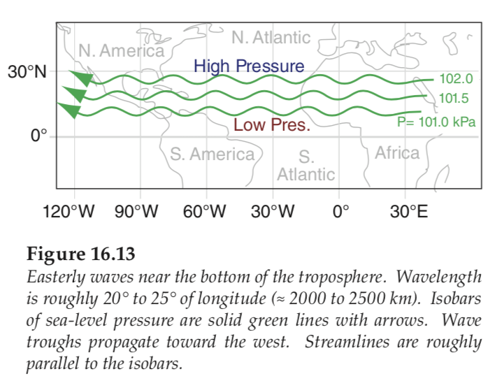 easterly waves