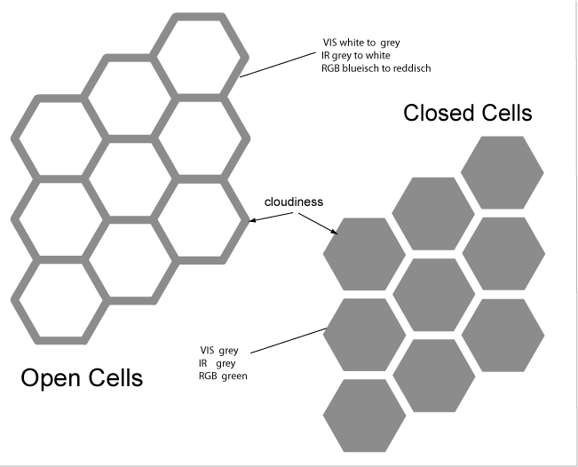 Cell diagram