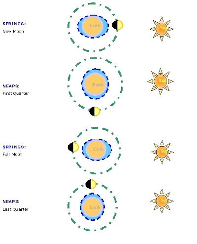 Tide diagram