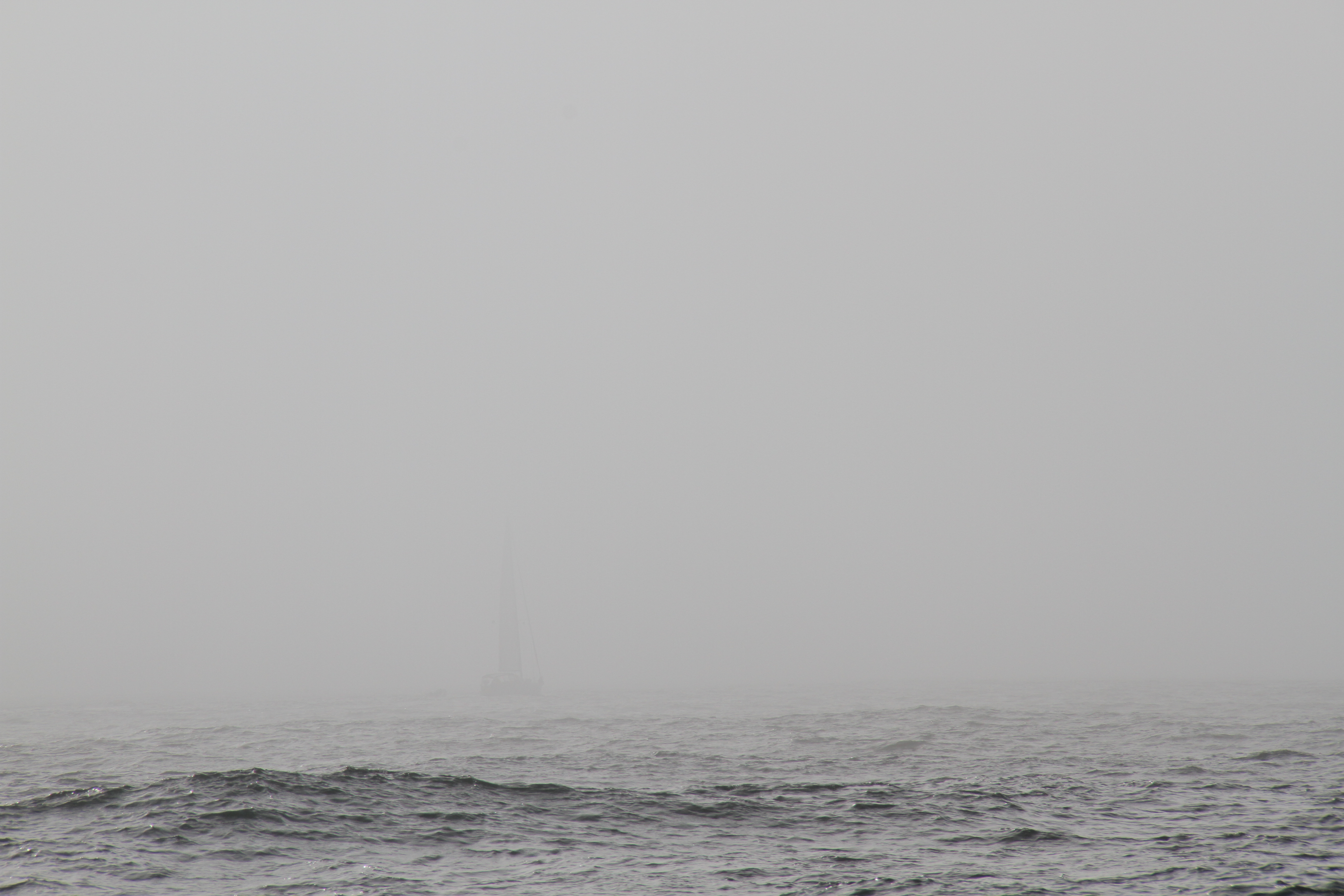 Fog