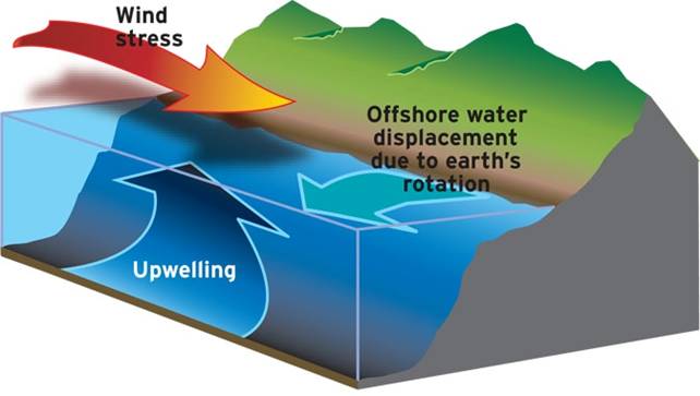 upwelling diagram