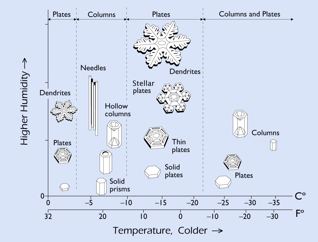 morphologydiagram