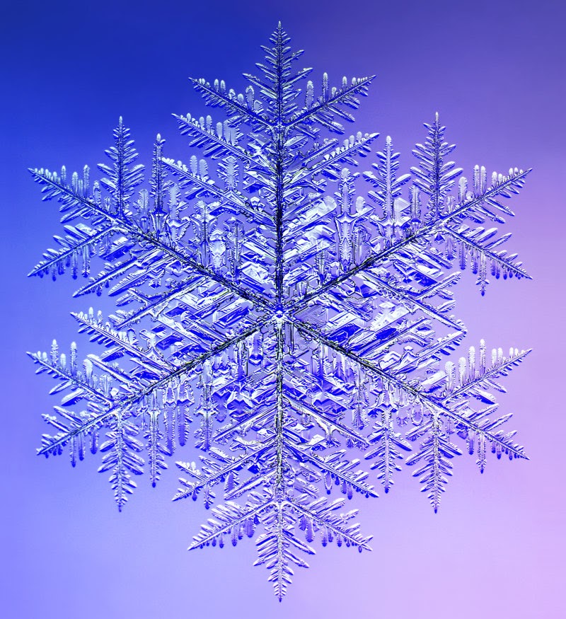 How snowflakes get their distinct and various shapes