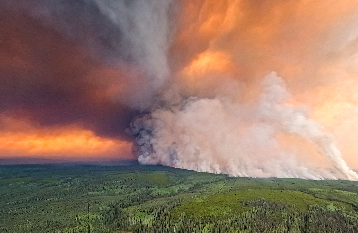 Photo story: Fighting fire with forecasts