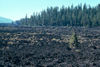 Basaltic aa flow, OR.