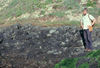 Pillow lava, CA.