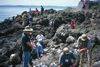 Pillow lava, San Juan Island, WA.