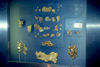 Gold nuggets at Smithsonian, Washington, D.D., by Dr. ML. Bevier.