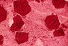 Thin section view of euhedral garnets in schist. Scale approximately 3 mm across.