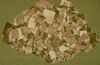 Pyrite cubes.