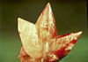 Calcite scalenohedra.