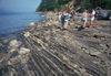 Interbedded mudstone and santstone, Vesuvius Bay, Saltspring Island,         B.C..