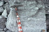 Ripples in laminated dolomite, by Dr. R.L. Armstrong.