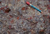 Chert pebble conglomerate, Miette Formation, B.C..