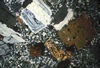 Plagioclase and biotite in a medium-grained matrix, Crested Butte, CO.