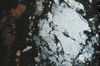 Cataclasized quartz, Crested Butte, CO.