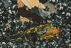 Clinopyroxenes in XPL, Crested Butte, CO.