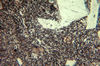 Plagioclase and clinopyroxene-phyric basalt, Rainbow Range, B.C..