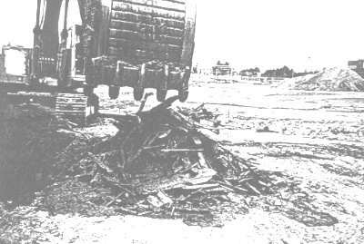 photo - wood waste