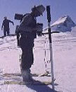 vlf photo