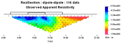realsection data