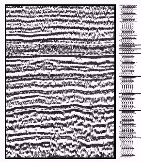 seismic reflection data