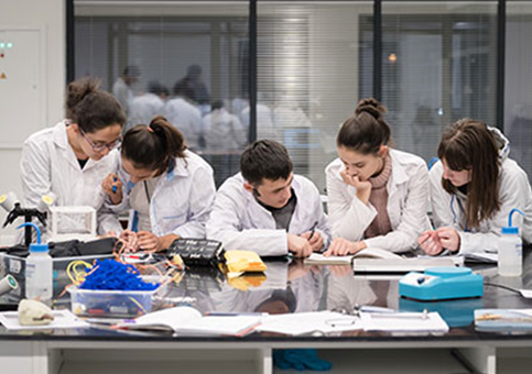 Students practice geoscience lab skills (photo: Francis Jones)