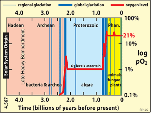 geologic_column