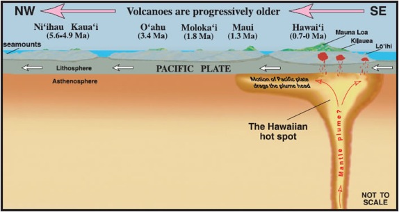 hawaiian-hot-spot